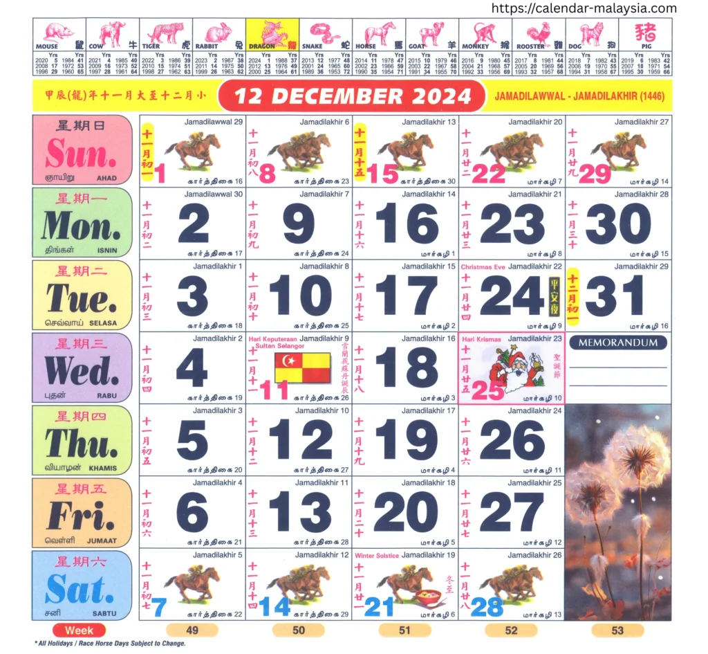 Kuda 12-2024